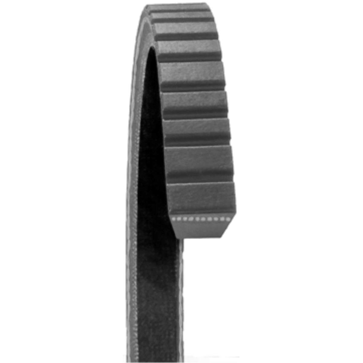 DAYCO 17370 Dayco 17370 FAN BELTS