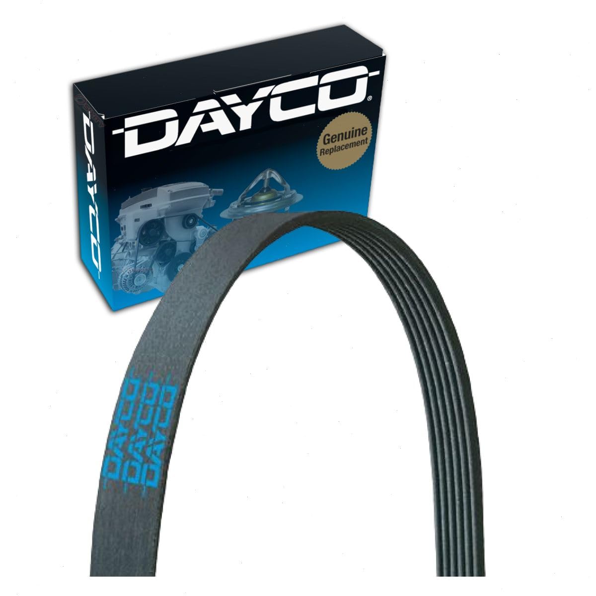 Dayco 5070500 Audi-Porsche-Vw 3L Poly Rib Belt