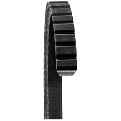 DAYCO 15545 Dayco 15545 55-06 NUMEROUS APPLICATIONS