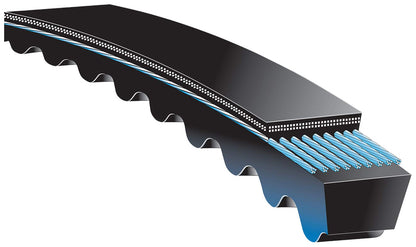 Gates 3VX250 NARROW SECTION MOLDED NOTCH V-BELT