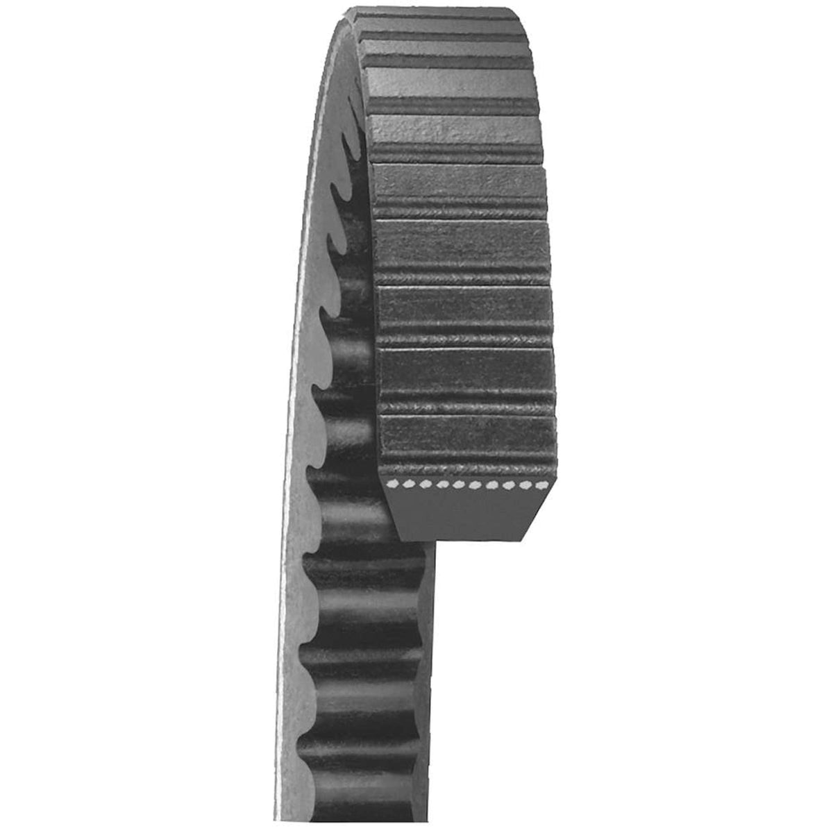 Dayco 30700 Accessory Drive Belt