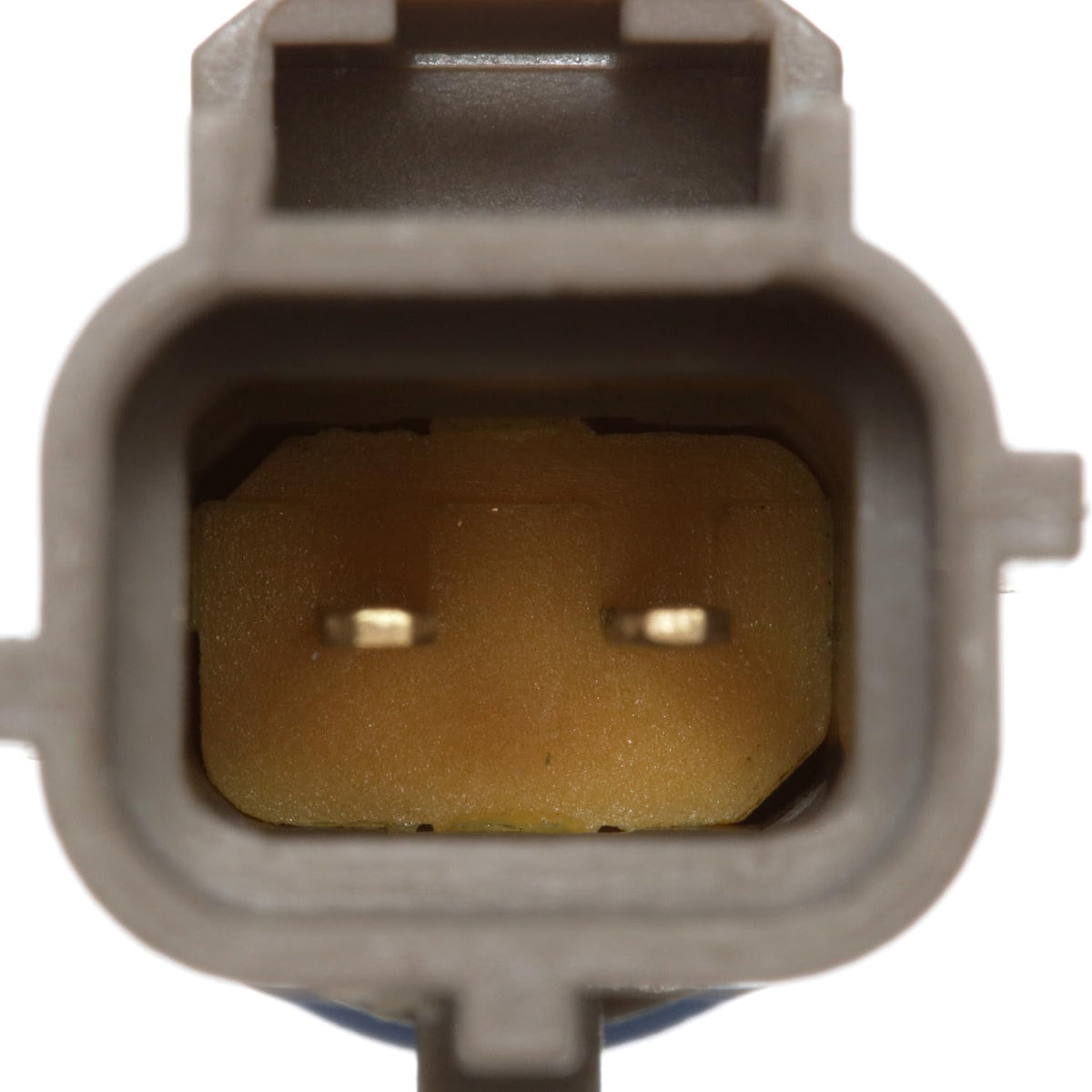 Delphi TS10542 ENGINE COOLANT TEMPERATURE SENSOR
