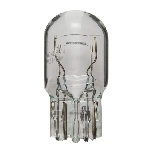 WAGNER 7443 Wagner Lighting 7443 Standard Multi-Purpose Light Bulb Box of 10