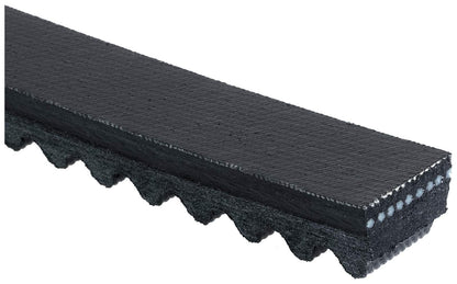 Gates TR26366 Green Stripe Truck & Bus V-Belt