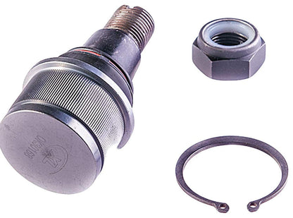 DORMAN BJ86315XL Dorman BJ86315XL Front Lower Suspension Ball Joint Compatible with Select Dodge / Ford Models