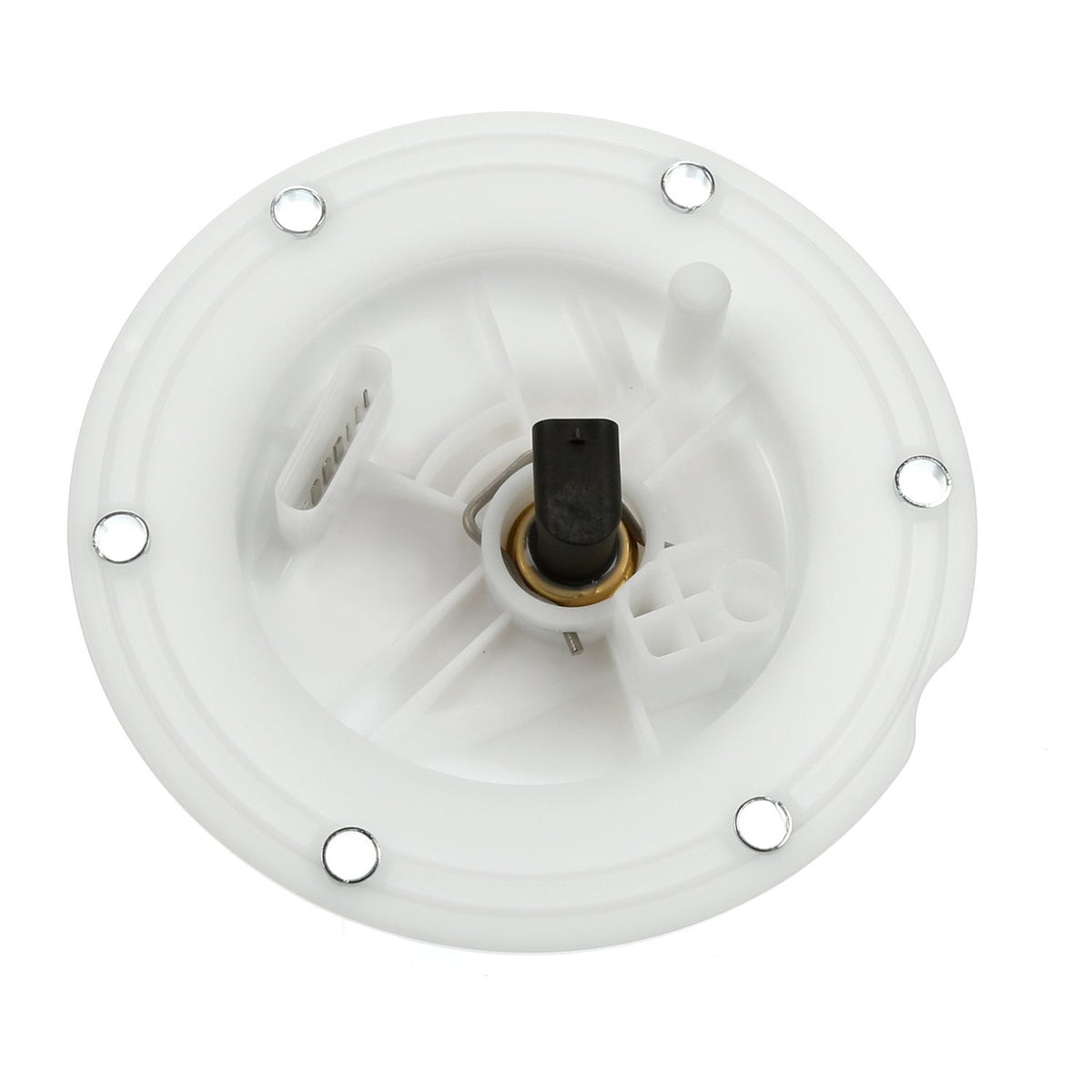 Delphi FG1619 Fuel Pump Module Assembly