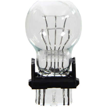 WAGNER BP4157LL Wagner Lighting BP4157LL Long Life Multi-Purpose Light Bulb Card of 2