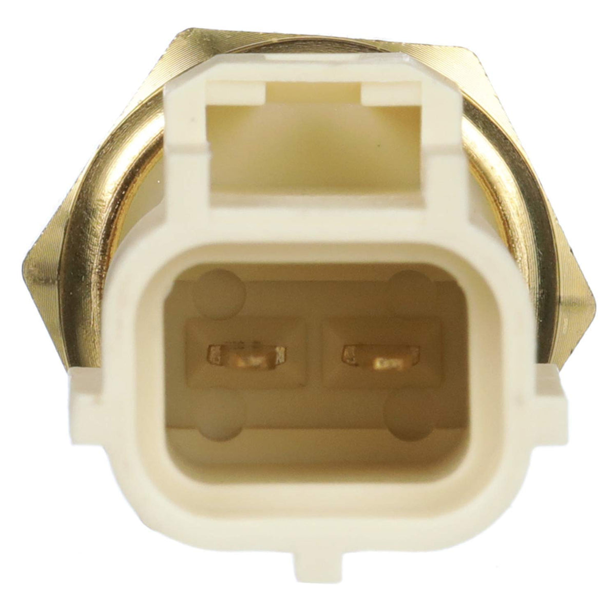 Delphi TS10289 Engine Coolant Temperature Sensor