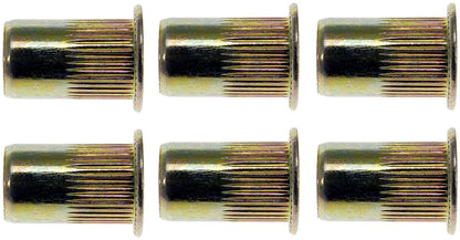Dorman 963-250BX Maintenance Fasteners