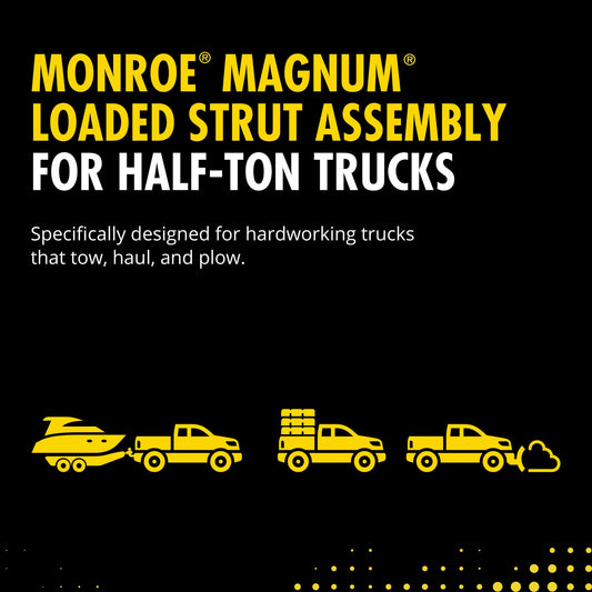 Monroe 153028 Suspension Strut and Coil Spring Assembly