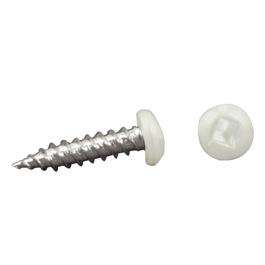 AP PRODUCTS 012-PSQ50W 8X1-1/4 AP Products 012-PSQ50 W 8 X 1-1/4 White Pan Head Square Recess Screw - Pack of 50