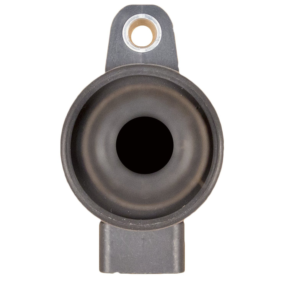 Delphi GN10312 IGNITION COIL