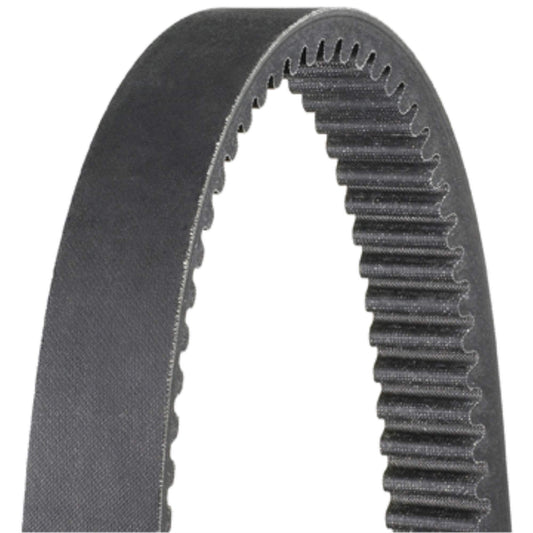 Dayco HP3021 POLARISNOW/YAMAHASNOWL