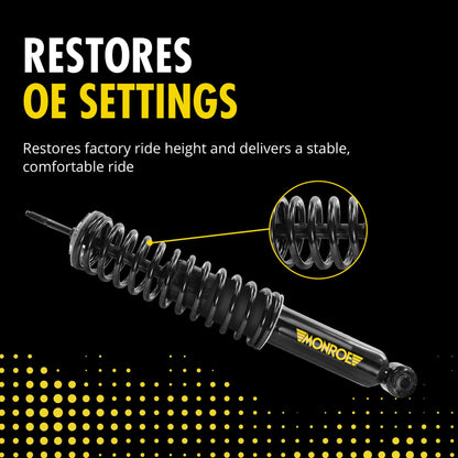 MONROE 90028C2 Monroe 90028C2 Air Spring to Coil Spring Conversion Kit for Ram 1500