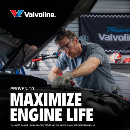 VALVOLINE 797671 Valvoline Daily Protection SAE 10W-40 Conventional Motor Oil 1 QT