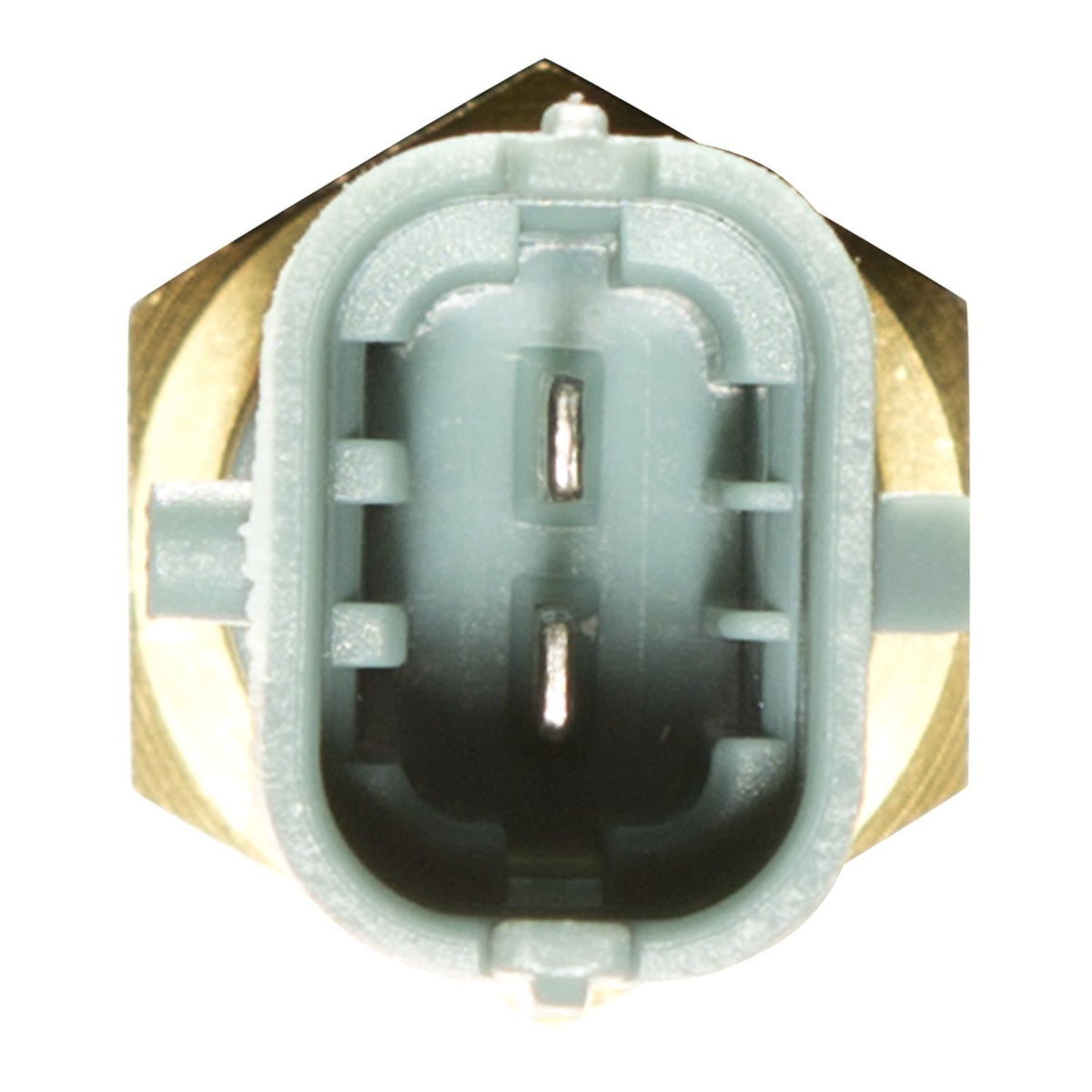 Delphi TS10253 ENGINE COOLANT TEMPERATURE SENSOR