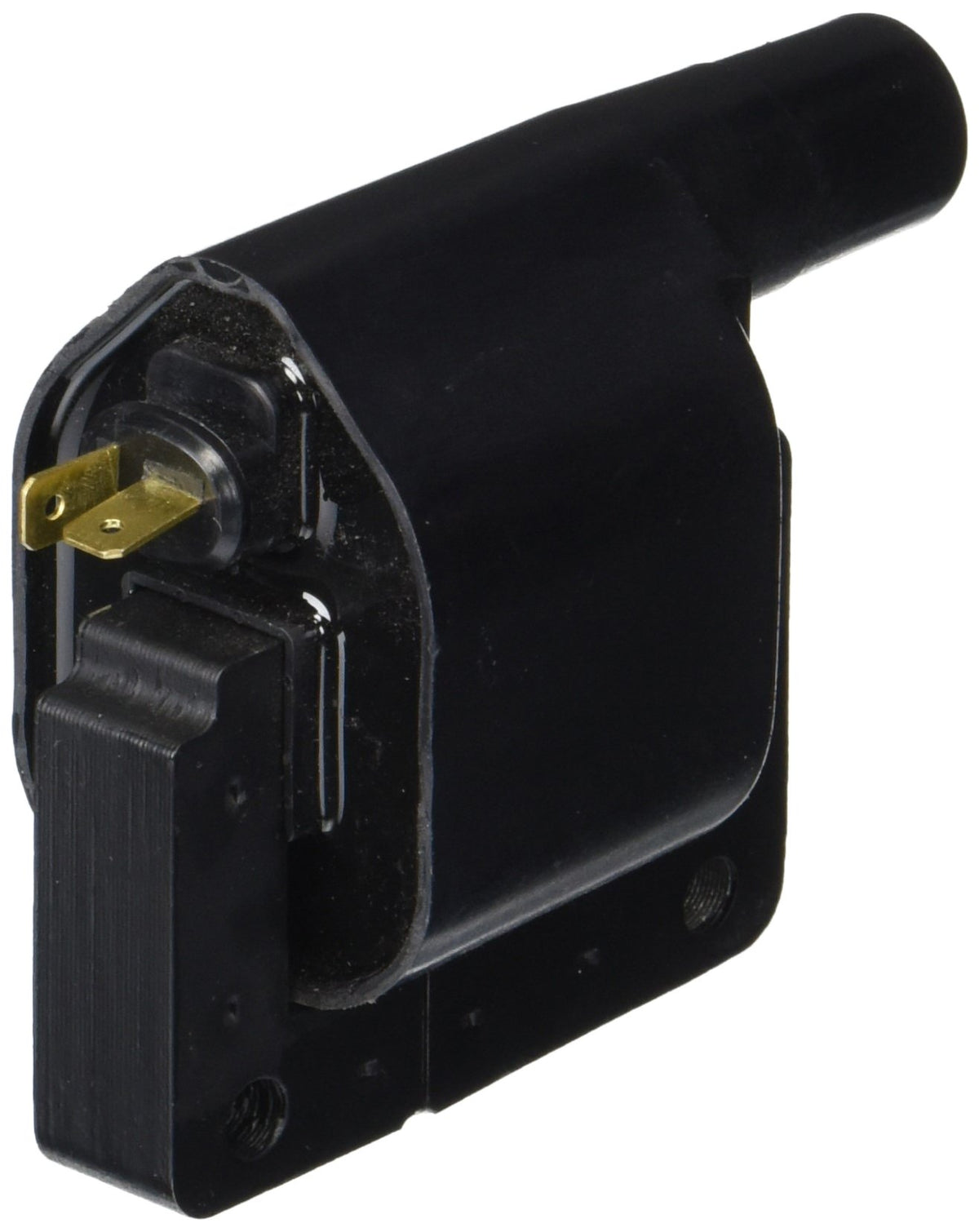 Delphi GN10291 IGNITION COIL