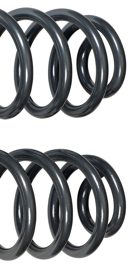Dorman 929-926 Rear Heavy Duty Coil Spring Upgrade