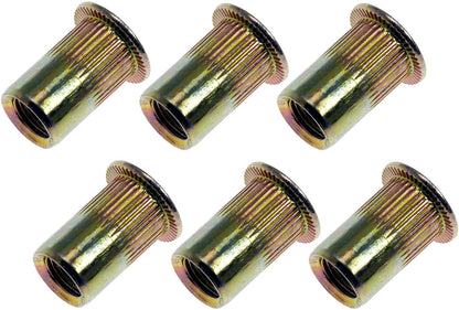 Dorman 963-250BX Maintenance Fasteners