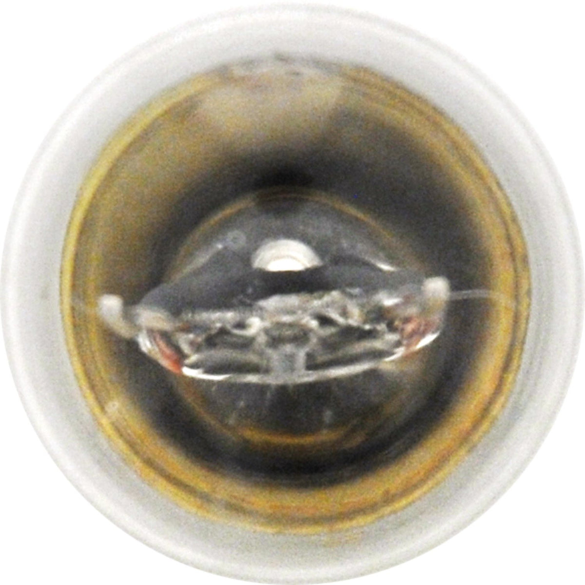 SYLVANIA 1003.BP2 SYLVANIA 1003 Basic Miniature Bulb, (Contains 2 Bulbs)