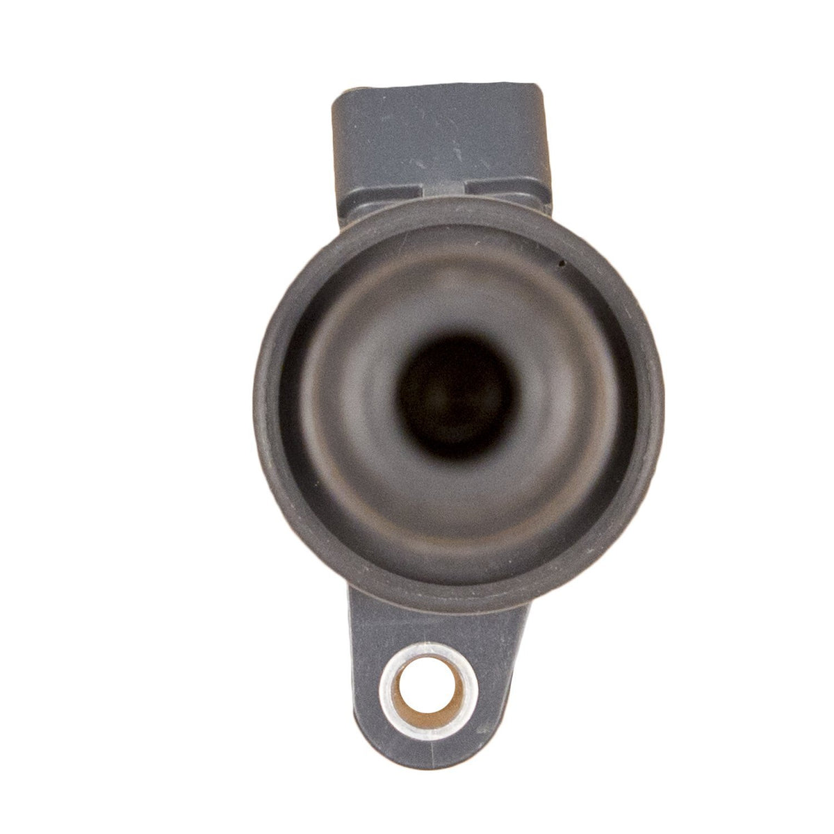 Delphi GN10313 IGNITION COIL