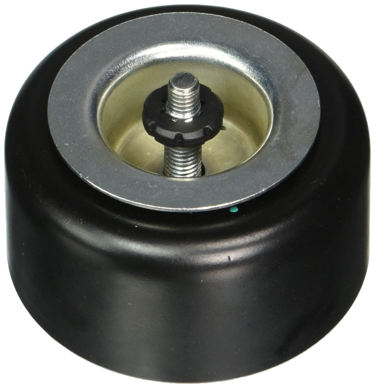 Dayco 89160 BUICK/CHEV/PONTIAC/SATURN 3.5/3.9L