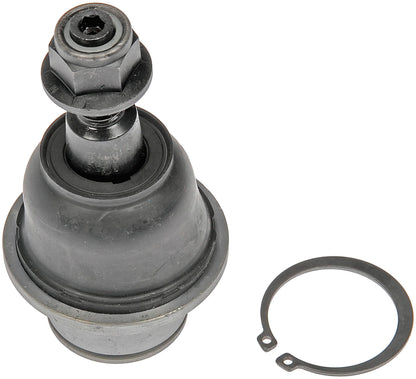 Dorman BJ87005XL Front Lower Suspension Ball Joint