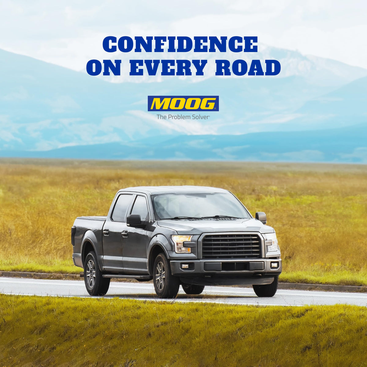 MOOG 513124 MOOG 513124 Wheel Bearing and Hub Assembly for Chevrolet Blazer