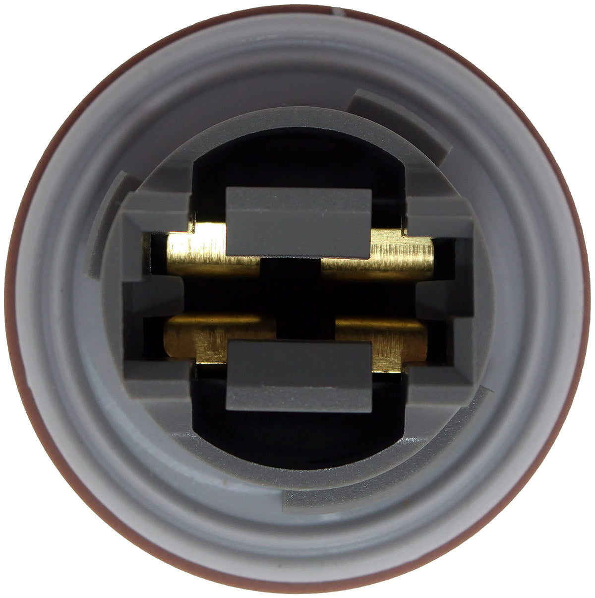 Dorman 645-121 Front Park and Turn Signal Socket